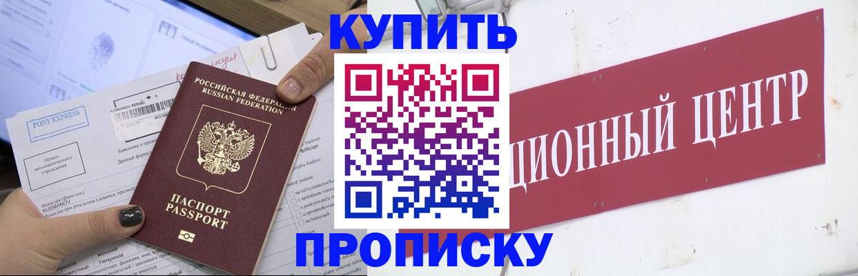 прописка поиск в Сольцах